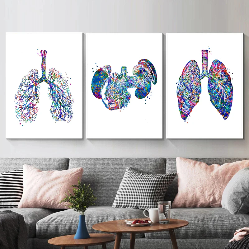 Anatomy Medical Poster Flower  - Medical Lab Posters review and price