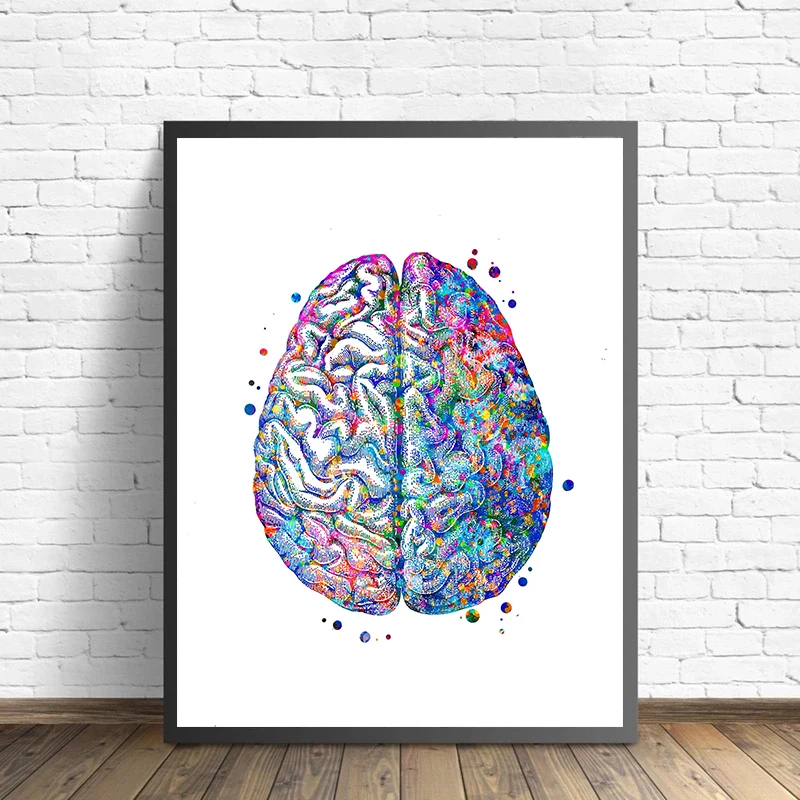 Anatomy Medical Poster Flower  - Medical Lab Posters review and price