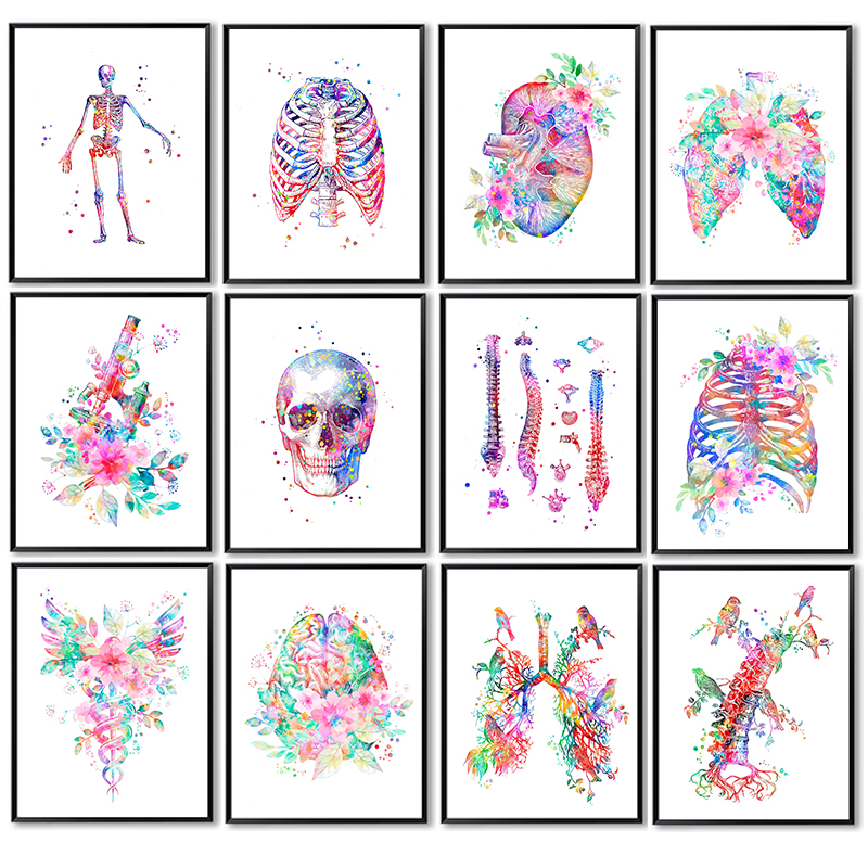 Anatomy Medical Poster Flower  - Medical Lab Posters review and price