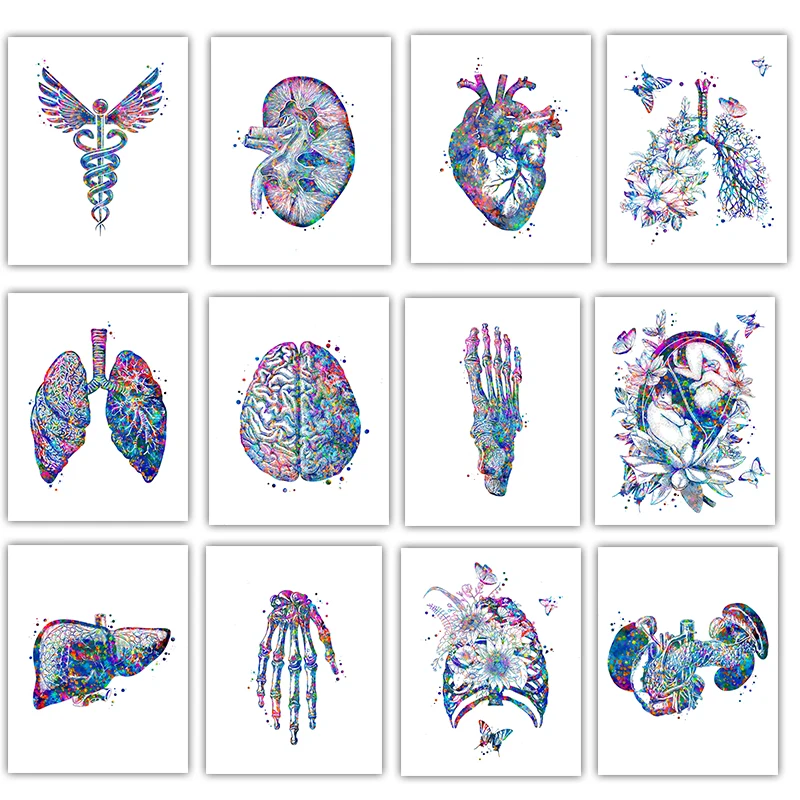 Anatomy Medical Poster Flower  - Medical Lab Posters review and price
