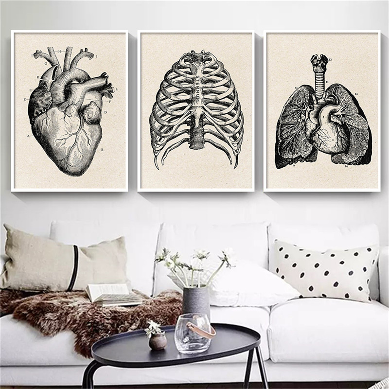 Medical Anatomy Artwork Canvas - Medical Lab Posters review and price
