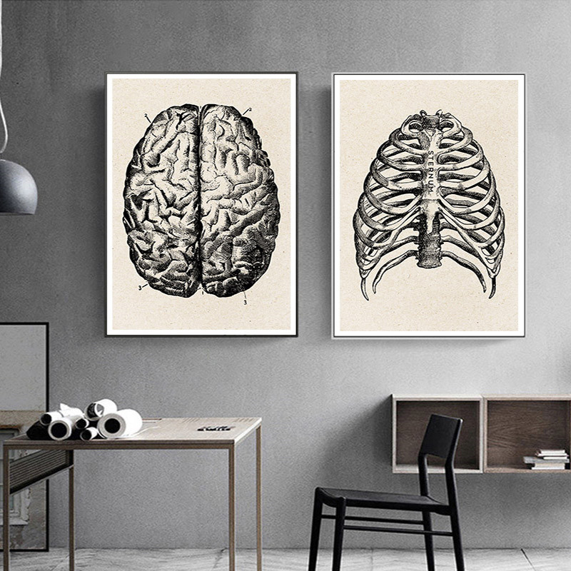 Medical Anatomy Artwork Canvas - Medical Lab Posters review and price