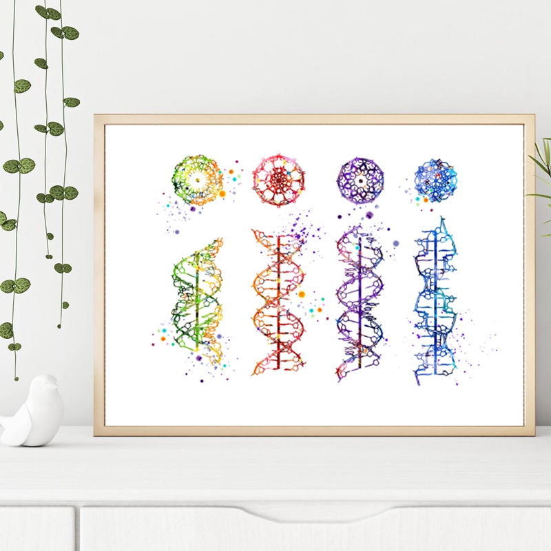DNA Molecule Print Modern Medi - Medical Lab Posters review and price