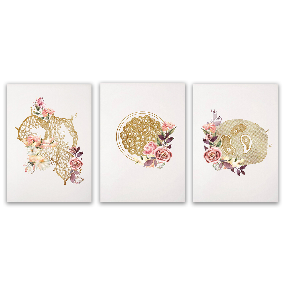 Microbiologist lab technician  - Medical Lab Posters review and price